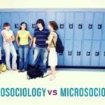 macrosociology vs microsociology