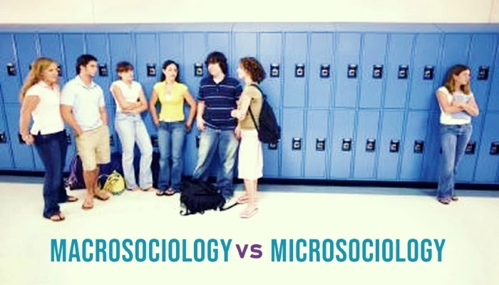 macrosociology vs microsociology