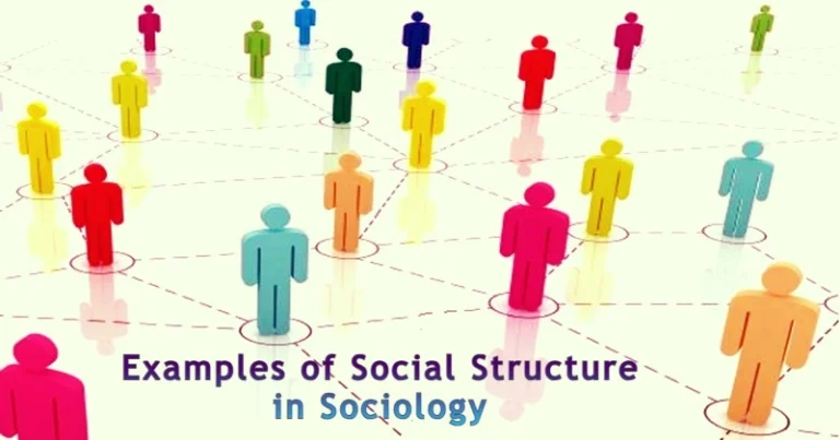 Examples of Social Structure
